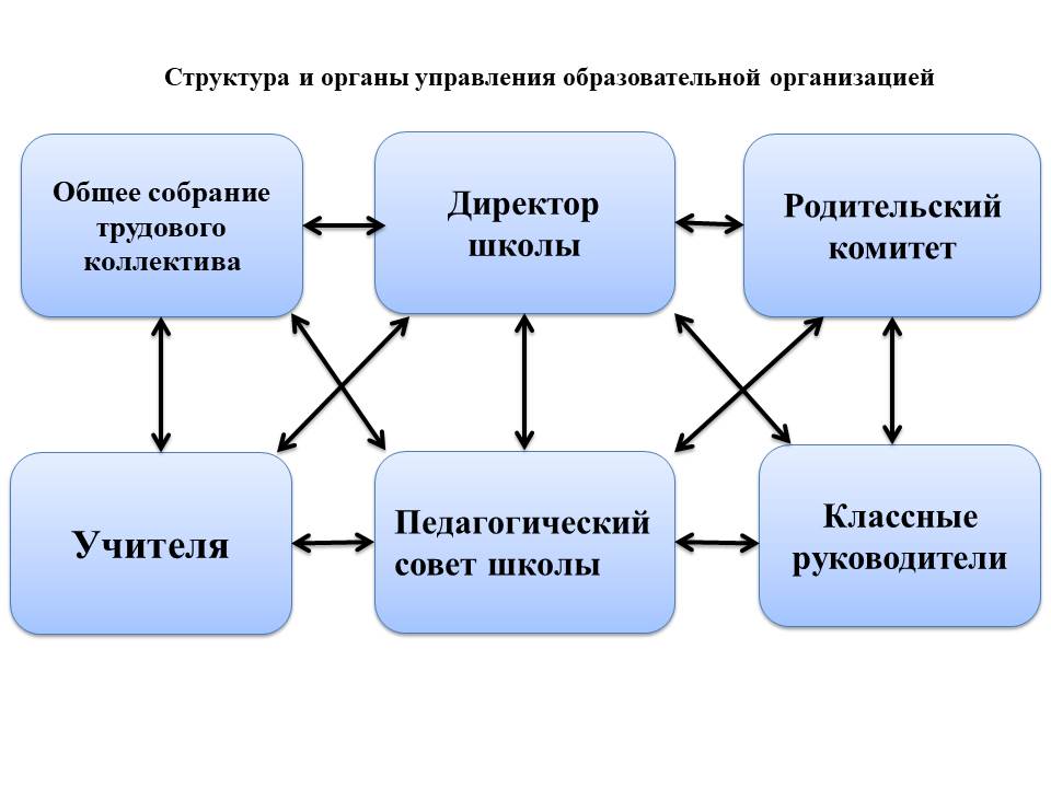 Структура и органы управления образовательной организацией.